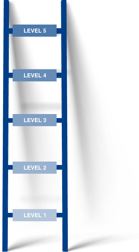 Ladder with Career Levels